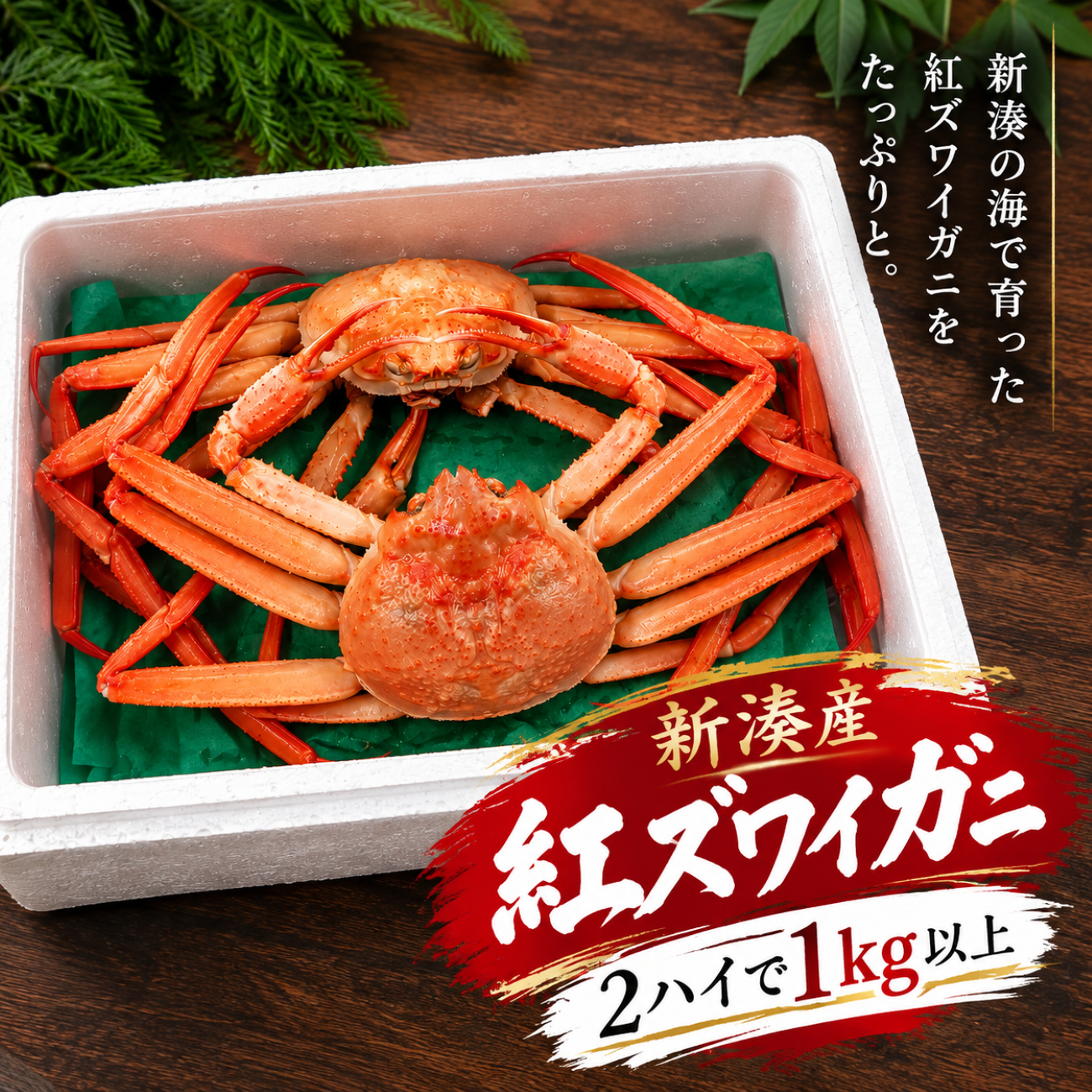 ChatGPT Image 2026年9月16日 08_17_12.png